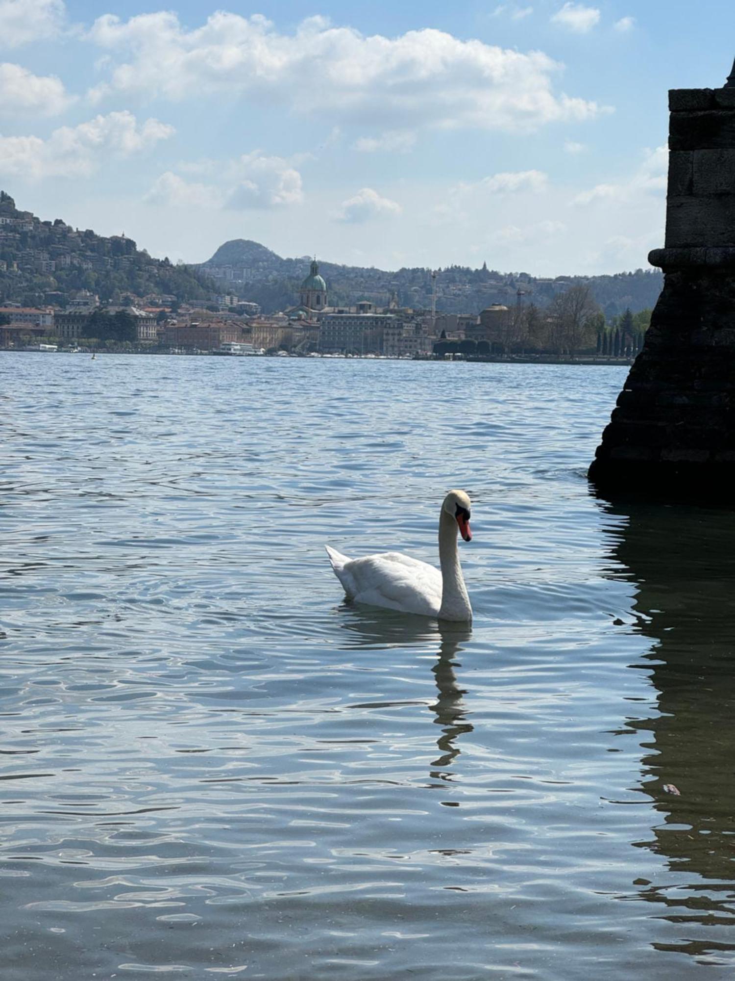Portatorre Suite, A Charming Apartment In The Heart Of Como, Free Private Parking, Air Conditioning & More! Екстер'єр фото